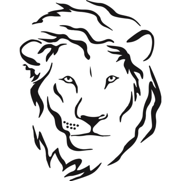 8 Face for Daniel Thumbnail