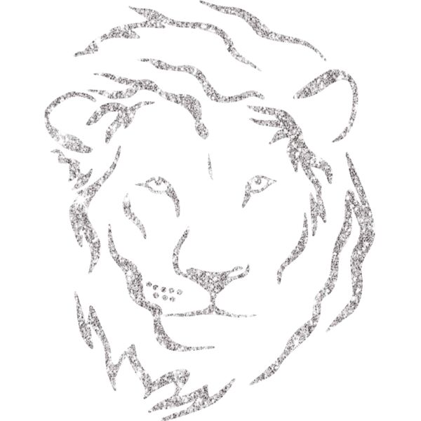 6 Face Silver Glitter Thumbnail